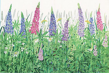 Lupine and Daisies Print