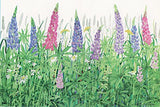 Lupine and Daisies Print