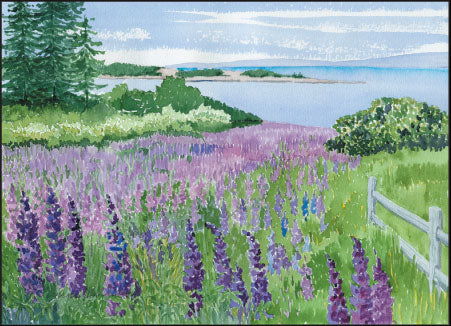 Roberts Cove Note