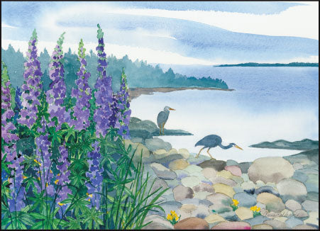Lupine Herons Note