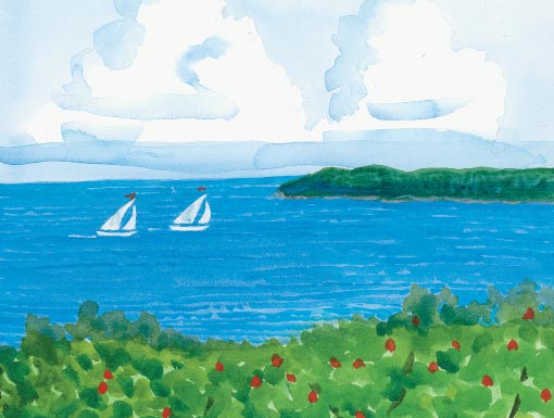 Clam Cove Print