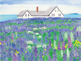 Field of Lupine Note